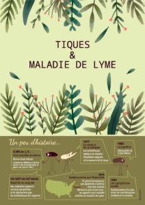 Tiques et maladie de Lyme