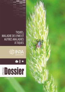 Tiques, maladie de Lyme et autres maladies à tiques - INRA