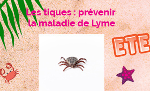 Les tiques : prévenir la maladie de Lyme - Conseils pour un été en toute sécurité en nouvelle-Aquitaine