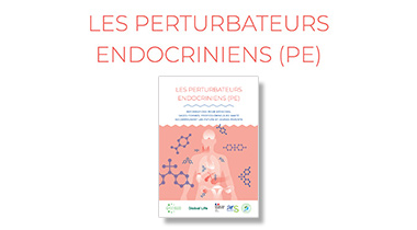 Les perturbateurs endocriniens