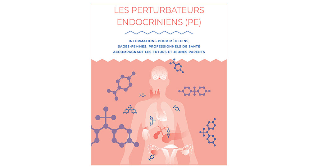 Focus sur les perturbateurs endocriniens : un guide à l’attention des professionnels