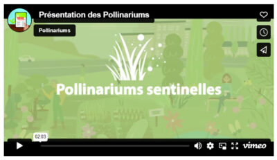 Présentation vidéo des pollinariums sentinelles