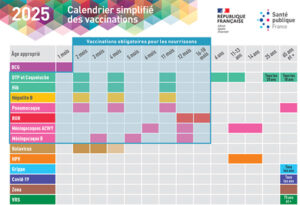Calendrier simpilfié des vaccinations 2025